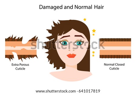 healthy hair and damaged hair