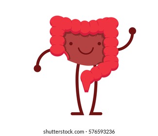Healthy Happy And Cute Human Anatomy Illustration Cartoon - Cute Happy Large Intestine