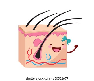 Healthy Happy And Cute Human Anatomy Illustration Cartoon - Healthy Skin Epidermis