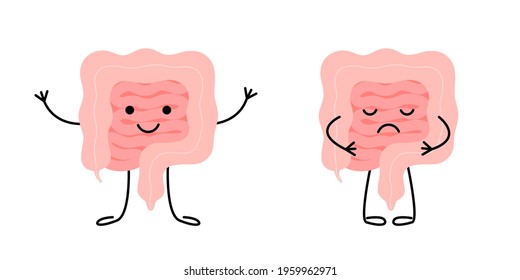 Healthy happy intestine with good microflora and sad unhealthy sick gut characters. Check health of intestine. Internal organ gut, intestine, colon, rectum, bowel. Vector illustration