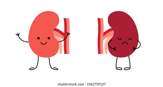 Healthy Happy Kidney And Sad Unhealthy Sick Pain Kidney Characters. Check Health Of Renal Organ. Internal Organ Kidney. Vector Illustration