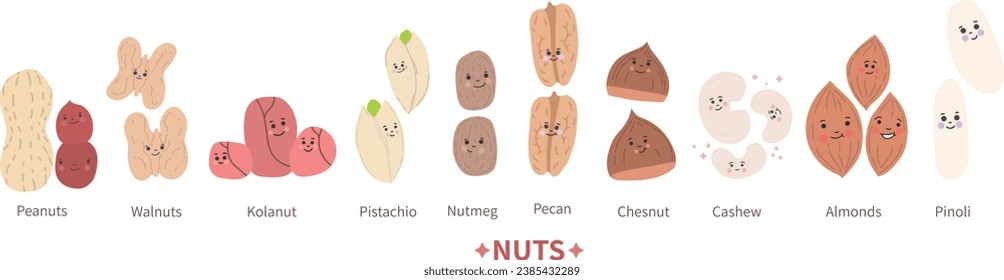 Healthy Happy nut set vector isolated,  pinoli,pecan,nutmeg,chestnut,almond,nutmeg,walnut,peanut,