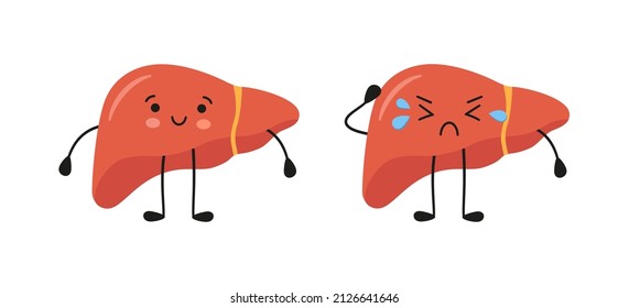 Healthy happy and sad sick liver characters. Kawaii liver characters. Vector isolated illustration in flat and cartoon style on white background.