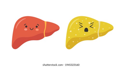 Healthy happy smiling cute liver character and sad sick unhealthy liver. Isolated vector illustration in flat style on white background