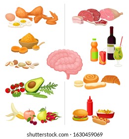 Healthy and Harmful Food for Brain Vector Set. Nutrition for Good and Bad Memory Function