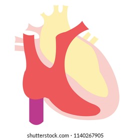 a healthy Heart