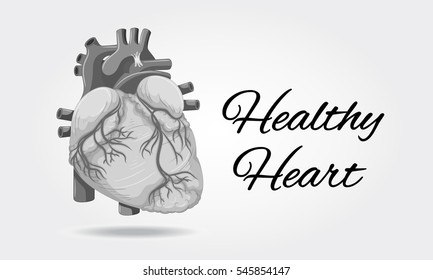 Healthy heart poster with picture of heart illustration
