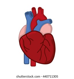 Healthy heart symbol isolated icon design