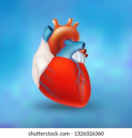 Healthy heart. Volumetric image of the heart on a blue background.