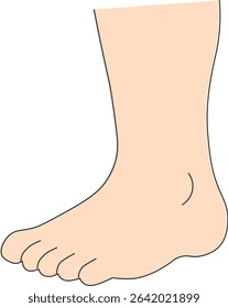 Healthy Heel and Foot Illustration  Skincare and  Foot Care Concept