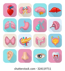 Healthy human body organs flat long shadow icons set isolated vector illustration