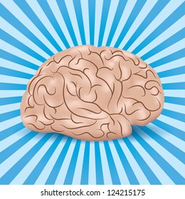 Healthy human brain on a blue background with lines.