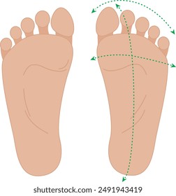 Healthy human feet. Normal foot sole. bare pair of legs. Barefoot concept.