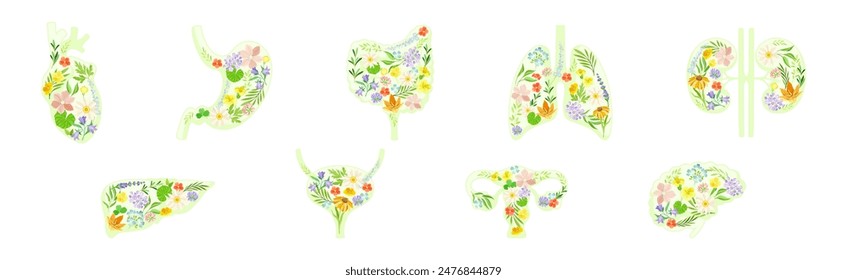 Healthy Human Internal Organs with Blooming Flower Vector Set