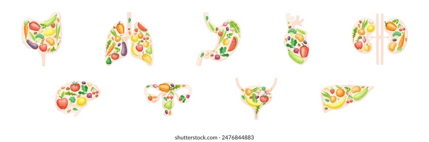 Healthy Human Internal Organs with Fruit and Vegetables Vector Set
