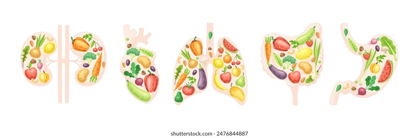 Healthy Human Internal Organs with Fruit and Vegetables Vector Set