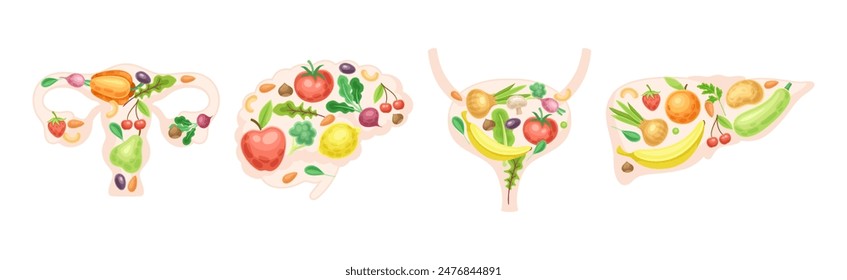 Healthy Human Internal Organs with Fruit and Vegetables Vector Set