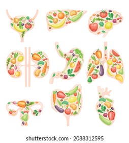 Healthy human internal organs set. Anatomical lungs, bladder, heart, kidneys, liver, bladder, stomach with with fruit and vegerables vector illustration