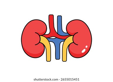 Ilustración vectorial de anatomía de riñones humanos sanos.