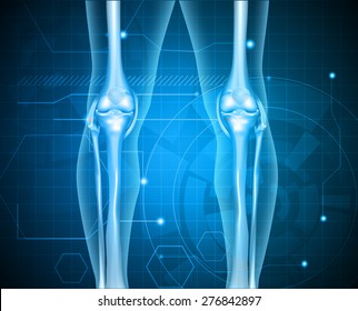 Healthy Human Legs Knee Joint On A Abstract Blue Technology Background