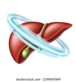 Healthy human liver in blue protective circle. Healthcare concept. Vector illustration isolated on white background