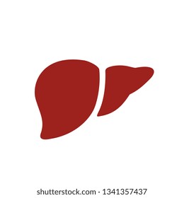 Healthy human liver vector icon isolated on white background
