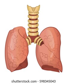 Healthy Human Lungs Cartoon Vector Illustration.