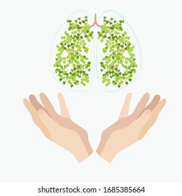 Healthy human lungs and hands under them protecting them