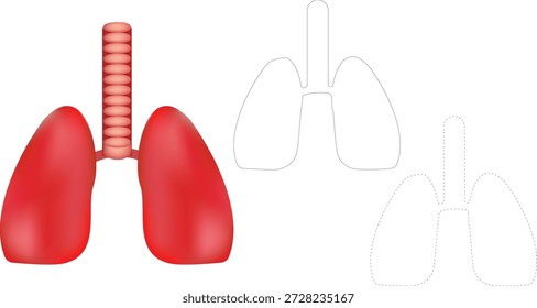 ilustração pulmões humanos saudáveis conjunto com órgão realista e esboço dashed versões ícone, conceito médico anatomia respiratória isolado no vetor branco