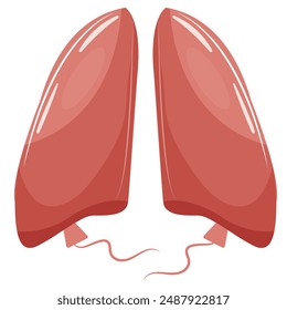 pulmones humanos sanos en forma de dos globos que simbolizan la ausencia de enfermedades, ícono del día del cáncer de pulmón, para carteles, Anuncios o diseños diversos