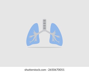 Pulmones y tráquea humanos sanos