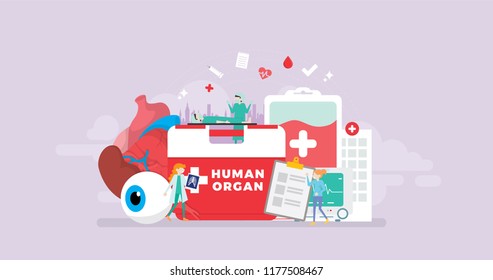 Healthy Human Organ Donor Transplantation Tiny People Character Concept Vector Illustration, Suitable For Wallpaper, Banner, Background, Card, Book Illustration, And Web Landing Page