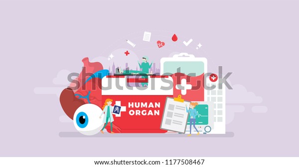 Healthy\
Human Organ Donor Transplantation Tiny People Character Concept\
Vector Illustration, Suitable For Wallpaper, Banner, Background,\
Card, Book Illustration, And Web Landing\
Page