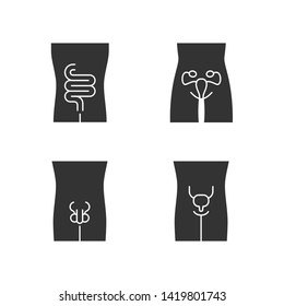 Healthy human organs glyph icons set. Intestines and urinary bladder in good health. Functioning men and women reproductive systems. Fertility. Silhouette symbols. Vector isolated illustration