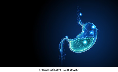 Healthy Human Stomach with acid digestive. Low poly wireframe style. Treatment of Gastric gut line. Future technology in medicine. Particles connected in silhouette Internal digestion organ