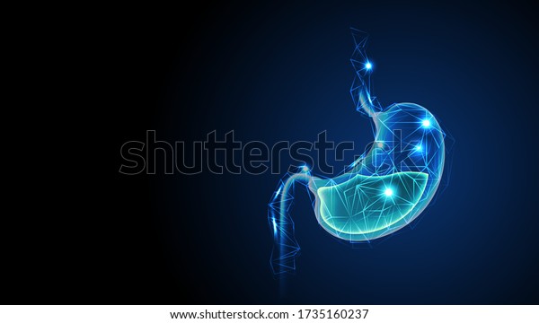 Healthy Human Stomach with acid digestive. Low poly\
wireframe style. Treatment of Gastric gut line. Future technology\
in medicine. Particles connected in silhouette Internal digestion\
organ