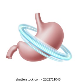 Healthy human stomach in blue protective circle. Healthcare concept. Vector illustration isolated on white background