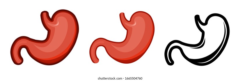 Healthy human stomach. Whole. Set. Color image and monochrome icon. A series of illustrations on the internal organs. Isolated vector object on a white background.
