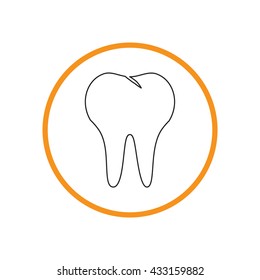 healthy human tooth anatomy vector icon. vector medical illustration.