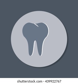 healthy human tooth anatomy vector icon. vector medical illustration.