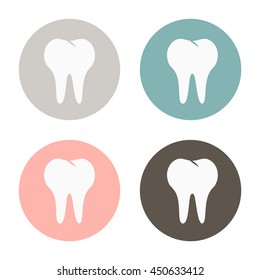 healthy human tooth anatomy vector icon. vector medical illustration.