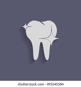 healthy human tooth anatomy vector icon. vector medical illustration.