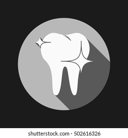 healthy human tooth anatomy vector icon. vector medical illustration.