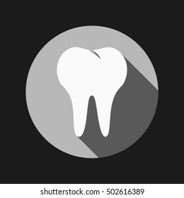 healthy human tooth anatomy vector icon. vector medical illustration.
