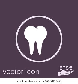 healthy human tooth anatomy vector icon. vector medical illustration.