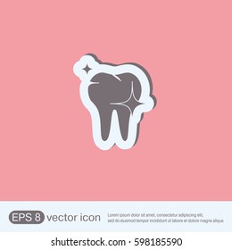 healthy human tooth anatomy vector icon. vector medical illustration.