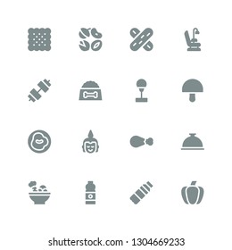healthy icon set. Collection of 16 filled healthy icons included Paprika, Water bottle, Salad, Foods, Chicken leg, Buddha, Chili, Mushroom, Punching ball, Dog food, Dumbbell, Dentist chair