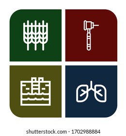 healthy icon set. Collection of Wheat, Dental drill, Swimming pool, Lungs icons