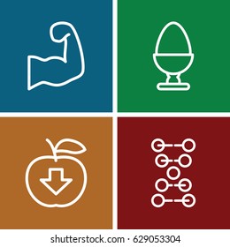 Healthy icons set. set of 4 healthy outline icons such as egg, muscular arm, apple download