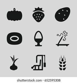 Healthy icons set. set of 9 healthy filled icons such as wheat, strawberry, pumpkin, potato, onion, aroma stick, soap, egg